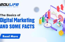 The Basics of Digital Marketing and Some Facts