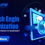 What is Search Engine Optimization and its important in business?